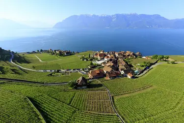 Vignobles de Lavaux, Suisse - crédits : Camille Moirenc/ hemis.fr