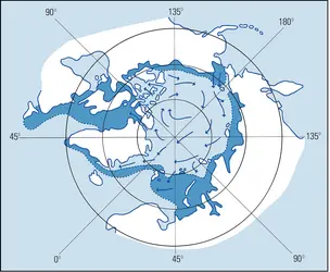 Arctique : glaces et courants de surface - crédits : Encyclopædia Universalis France