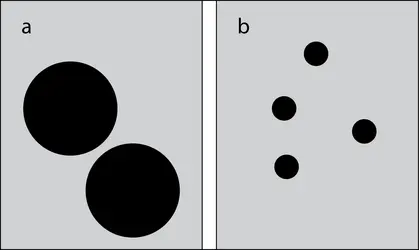 La numérosité - crédits : Encyclopædia Universalis France