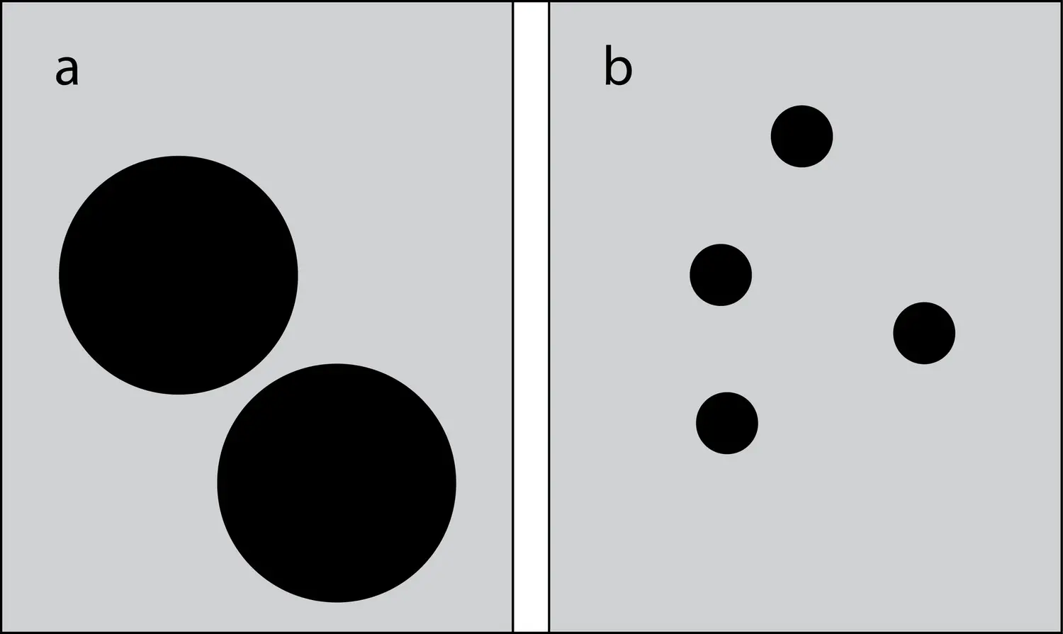 La numérosité