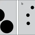 La numérosité - crédits : Encyclopædia Universalis France