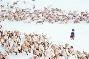 Tchouktche éleveur de rennes - crédits : Natalie Fobes/ Getty Images