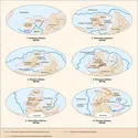 Paléozoïque : paléogéographie - crédits : Encyclopædia Universalis France