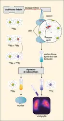 <h4>	Production de technétium 99m par irradiation de molybdène 100</h4> - crédits : Encyclopædia Universalis France