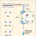 <h4>	Production de technétium 99m par irradiation de molybdène 100</h4> - crédits : Encyclopædia Universalis France