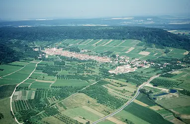 Lorraine : le vignoble des côtes de Meuse - crédits : Collection R. Berton-A. Humbert