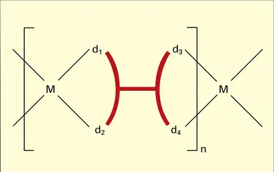 Macromolécule linéaire - crédits : Encyclopædia Universalis France