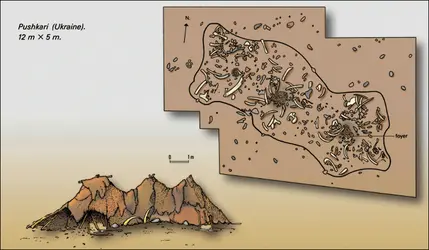 Pushkari (Ukraine) - crédits : Encyclopædia Universalis France