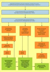 Nomenclature botanique: élaboration des règles - crédits : Encyclopædia Universalis France