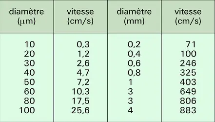 Vitesses de chute des gouttes de pluie - crédits : Encyclopædia Universalis France