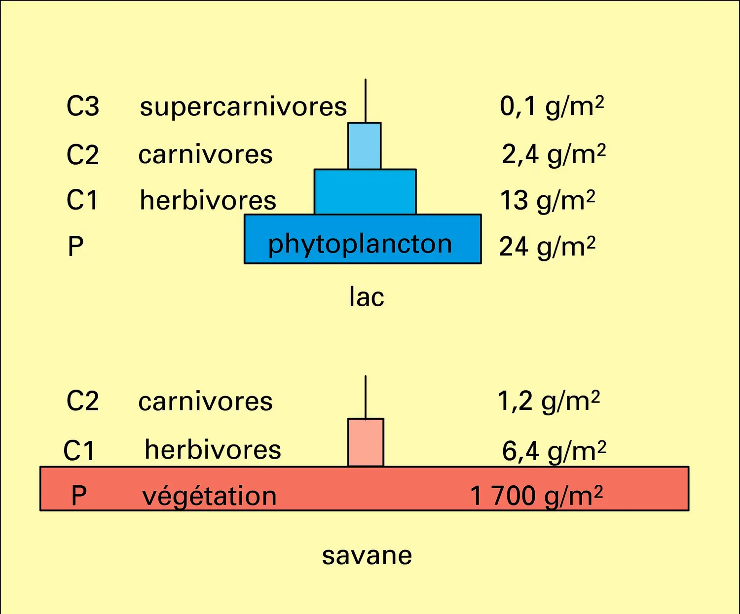 Pyramide des biomasses