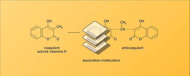 Pharmacologie : modulation - crédits : Encyclopædia Universalis France