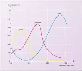 Photographie argentique : défauts de transmission des colorants chromogènes - crédits : Encyclopædia Universalis France