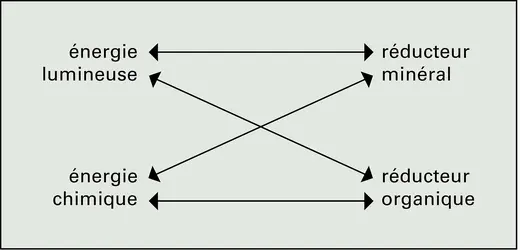 Organismes ponts : les quatre combinaisons possibles - crédits : Encyclopædia Universalis France