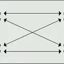 Organismes ponts : les quatre combinaisons possibles - crédits : Encyclopædia Universalis France