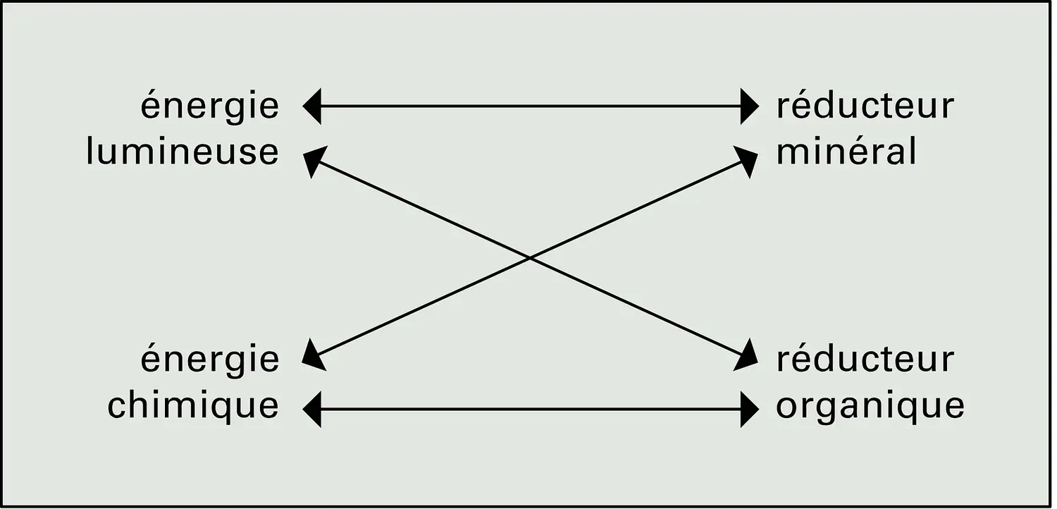 Organismes ponts : les quatre combinaisons possibles