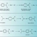 Photographie argentique : procédé chromogène - crédits : Encyclopædia Universalis France