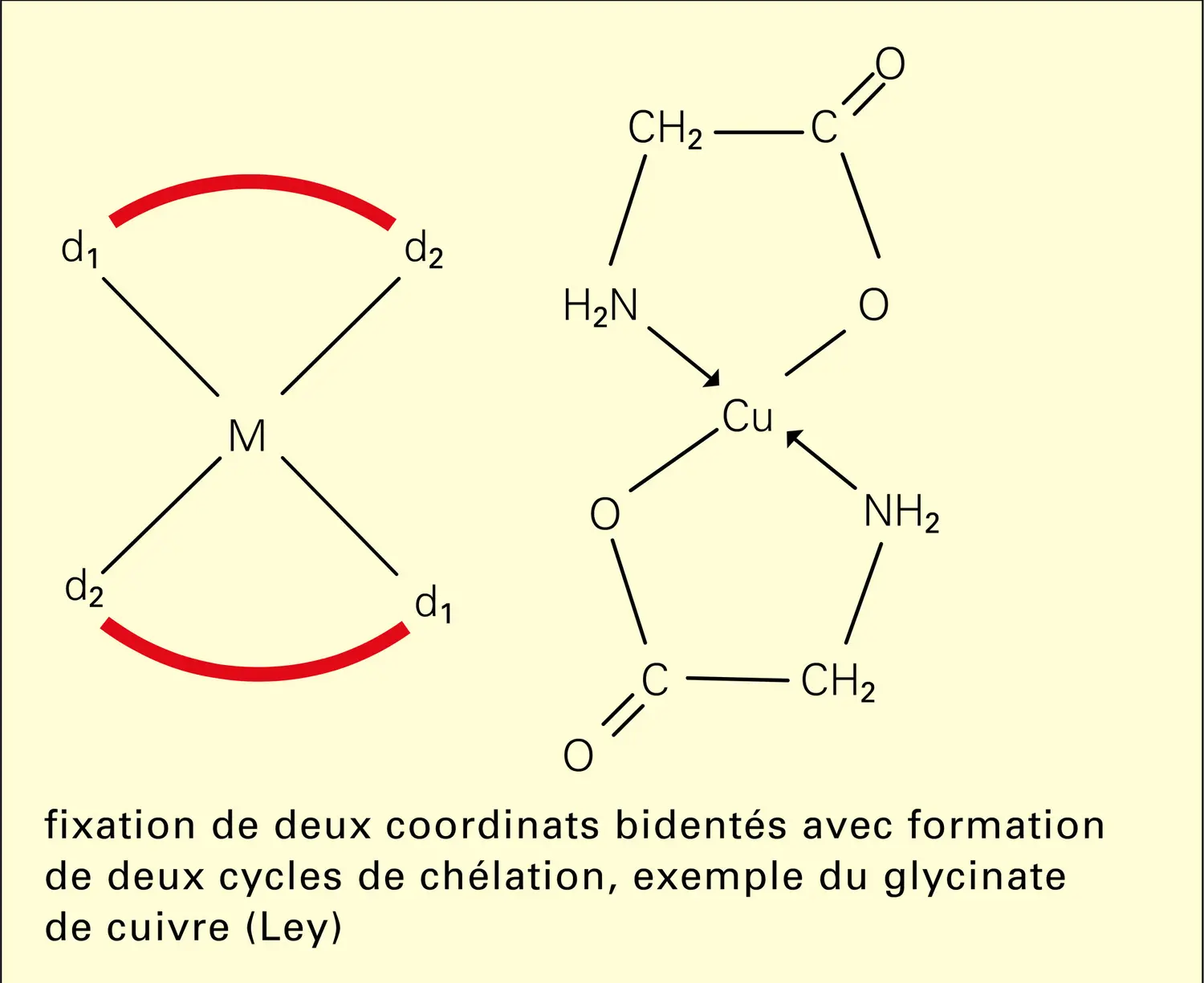 Chélation - vue 2