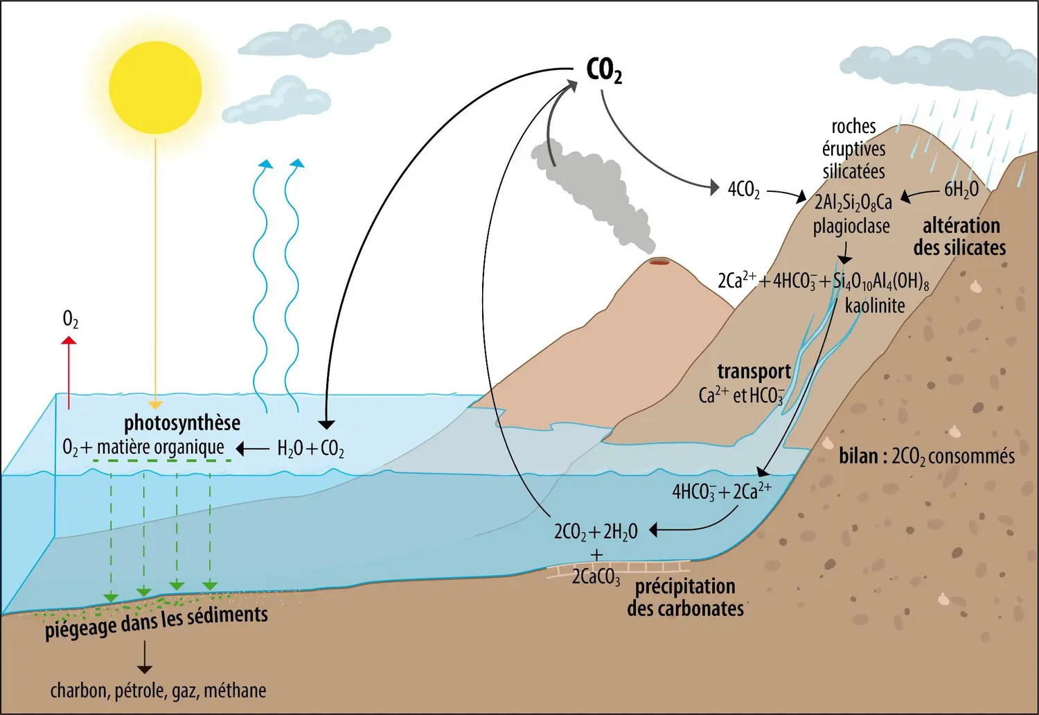 Les deux principaux puits de&nbsp;CO2