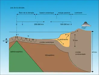 Circulation des fluides et activité hydrothermale - crédits : Encyclopædia Universalis France