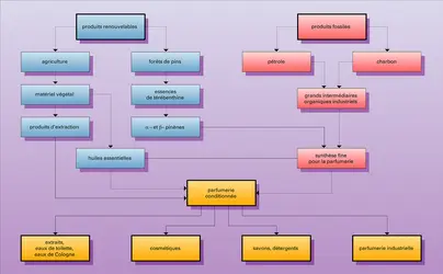 Produits naturels utilisés - crédits : Encyclopædia Universalis France