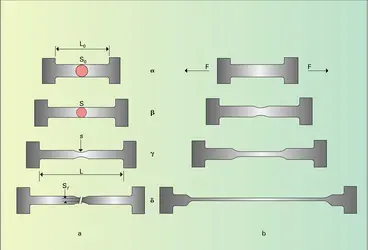 Traction uniaxiale - crédits : Encyclopædia Universalis France