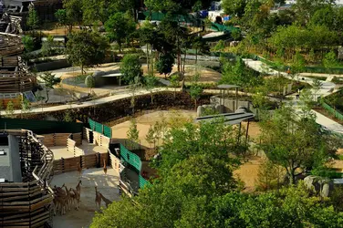 Parc zoologique de Paris à sa réouverture, en 2014 - crédits : F. Grandin/ MNHN