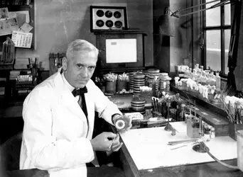 Alexander Fleming - crédits : Davies/ Keystone/ Hulton Archive/ Getty Images