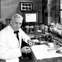 Alexander Fleming - crédits : Davies/ Keystone/ Hulton Archive/ Getty Images