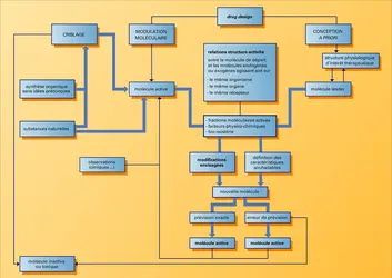 Recherche d'une nouvelle molécule active - crédits : Encyclopædia Universalis France