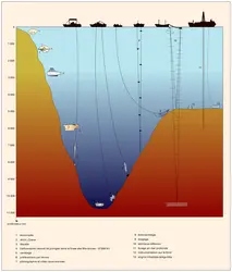 Prélèvement et observation des fonds océaniques - crédits : Encyclopædia Universalis France