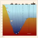 Prélèvement et observation des fonds océaniques - crédits : Encyclopædia Universalis France
