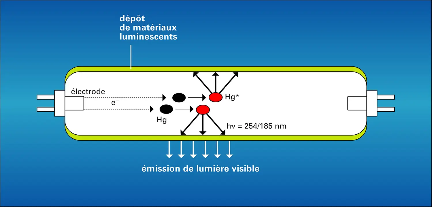 Lampes fluorescentes à terres rares