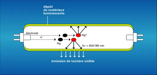 Lampes fluorescentes à terres rares - crédits : Encyclopædia Universalis France