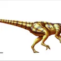 Pachycephalosaurus - crédits : Encyclopædia Universalis France