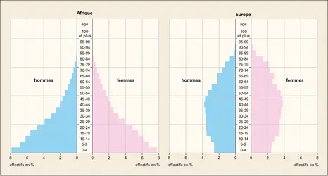 Pyramides des âges : Afrique et Europe, 2005 - crédits : Encyclopædia Universalis France