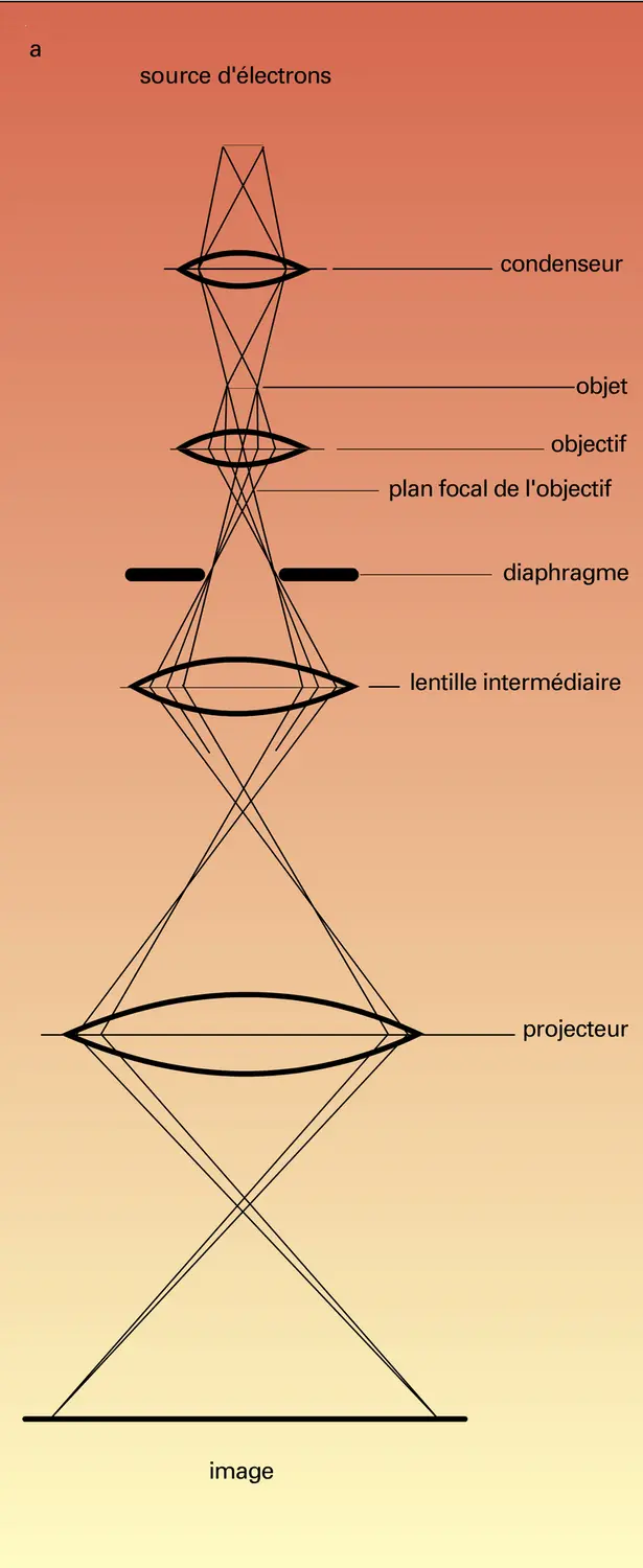 Principe du microscope électronique - vue 1