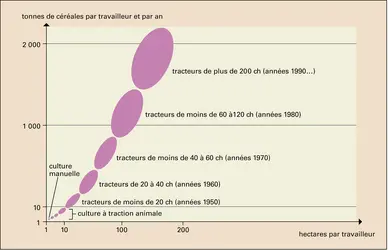 Agriculture : inégalités de productivité - crédits : Encyclopædia Universalis France