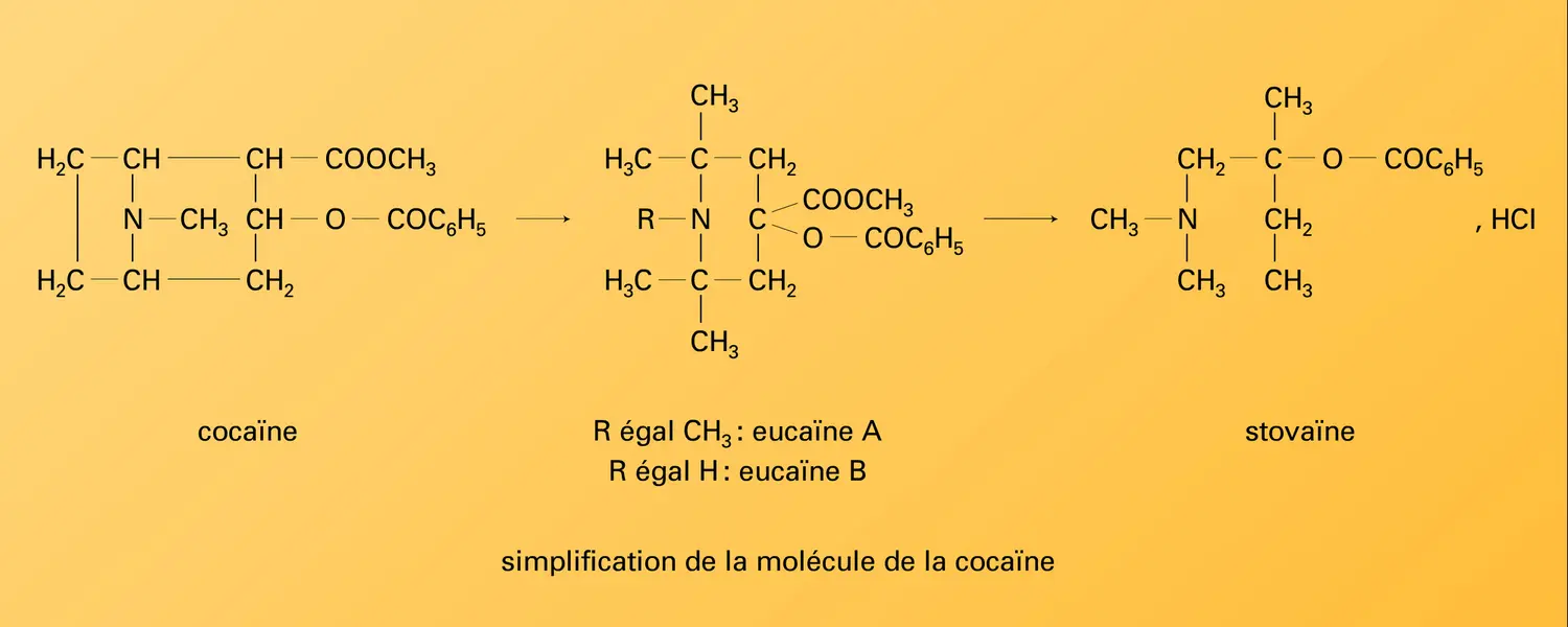 Pharmacologie : modulation - vue 3