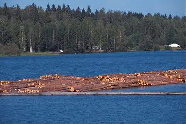 L'exploitation forestière en Finlande - crédits : Insight Guides