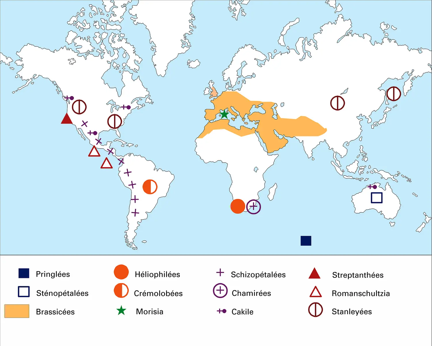 Crucifères : Répartition géographique