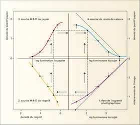 Sensitométrie photographique : diagramme de Jones - crédits : Encyclopædia Universalis France