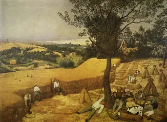 <it>La Moisson</it>, Bruegel l'Ancien - crédits : AKG-images