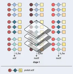 Chimie combinatoire : déconvolution itérative - crédits : Encyclopædia Universalis France