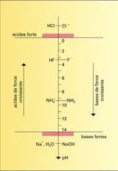 nommer les acides et les bases