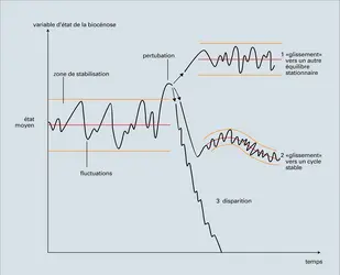 Devenirs possibles d'une biocénose déstabilisée - crédits : Encyclopædia Universalis France