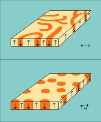 Domaines magnétiques dans une couche mince de grenat - crédits : Encyclopædia Universalis France