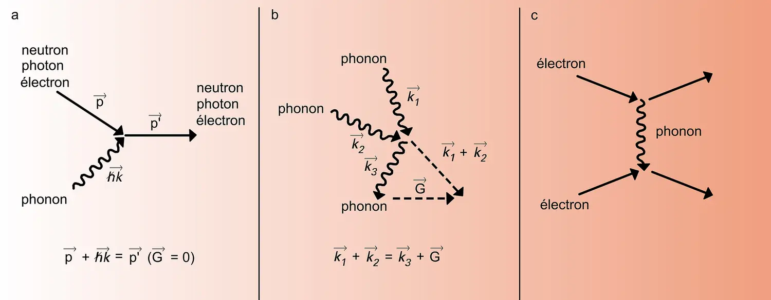 Interactions entre phonons et d'autres particules