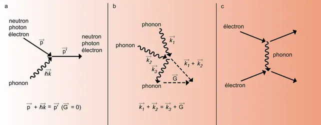 Interactions entre phonons et d'autres particules - crédits : Encyclopædia Universalis France