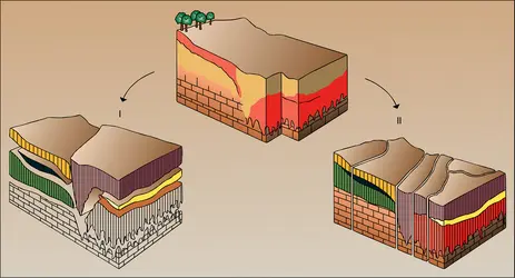 Couvertures pédologiques - crédits : Encyclopædia Universalis France